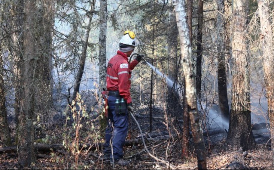 Kαναδάς: Πυροβέστης έχασε τη ζωή του στη μάχη με φλόγες 