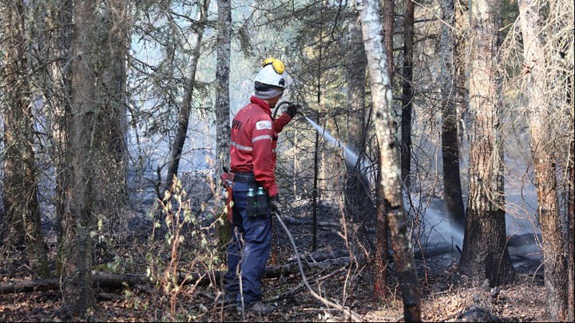 Kαναδάς: Πυροβέστης έχασε τη ζωή του στη μάχη με φλόγες