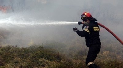 Φλώρινα: Πυρκαγιά σε δασική έκταση κοντά στο Βαρικό 