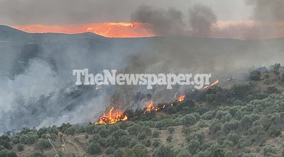 Μαγνησία: Σε εξέλιξη η μεγάλη φωτιά στο Φυτόκο - Μεγάλη η κινητοποίηση της πυροσβεστικής