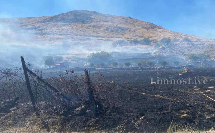 Υπό μερικό έλεγχο η πυρκαγιά σε χαμηλή βλάστηση στη Λήμνο