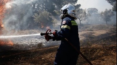 Ξάνθη: Υπό έλεγχο η φωτιά στην Γενισέα του δήμου Αβδήρων