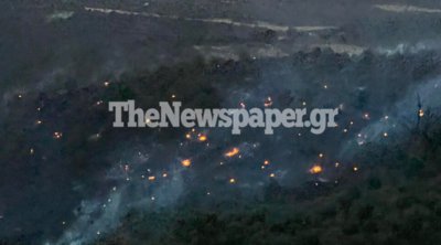 Μαγνησία: Τέθηκε υπό έλεγχο η μεγάλη φωτιά στο Φυτόκο 