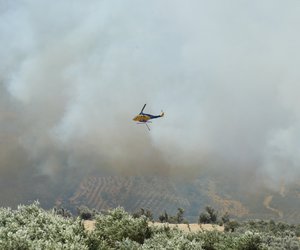 Πυρκαγιά στο Ρέθυμνο: Συνεχίζεται η μάχη με τις φλόγες - Εκκενώθηκαν χωριά - Μεγάλες καταστροφές 