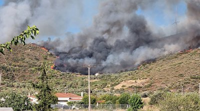 Κρήτη: Πολύ υψηλός κίνδυνος πυρκαγιάς το Σάββατο - Σε κατάσταση «Red Code» το νησί