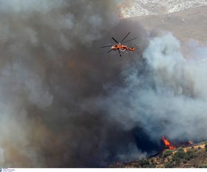 Ρέθυμνο: Ανυπολόγιστες οι καταστροφές από τη φωτιά 