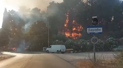 Θεσπρωτία: Φωτιά στην περιοχή Σαγιάδα - Ήχησε το 112 - ΒΙΝΤΕΟ
