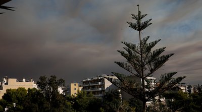 Φωτιά στον Βαρνάβα: Επιχείρηση απεγκλωβισμού 25 ατόμων από την ΟΠΚΕ - ΒΙΝΤΕΟ