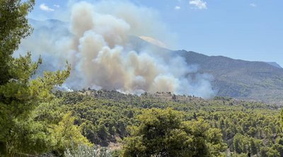 Πυρκαγιά στα Μέγαρα – Ήχησε το 112 - Εκκενώνεται οικισμός 