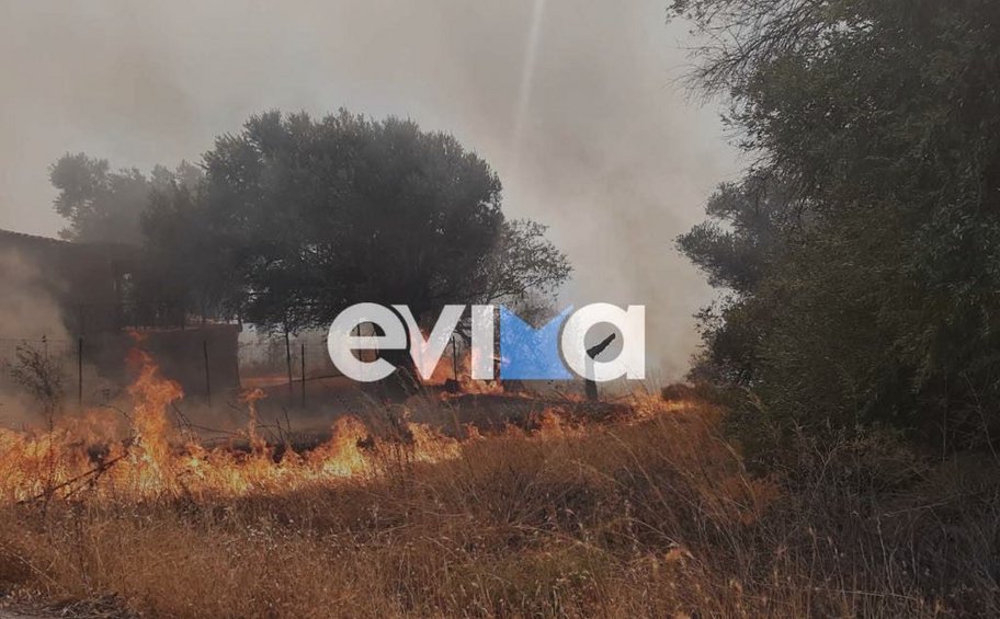 Εύβοια: Σε εξέλιξη φωτιά στην Ερέτρια - Μήνυμα από το 112