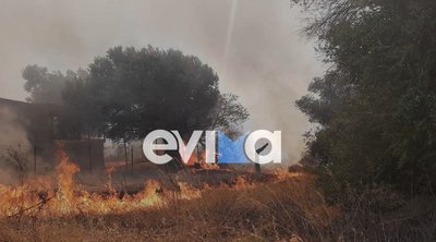 Εύβοια: Σε εξέλιξη φωτιά στην Ερέτρια - Εκκενώθηκαν οικισμοί