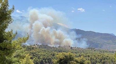 Μέγαρα: Υπό μερικό έλεγχο η δασική πυρκαγιά στο Νέο Μάζι 