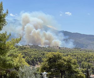 Μέγαρα: Υπό μερικό έλεγχο η δασική πυρκαγιά στο Νέο Μάζι 