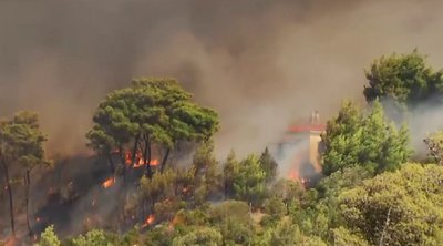 Πυρκαγιές: Ανεξέλεγκτη η φωτιά στο Βαρνάβα - Πού αλλού υπάρχουν ενεργά μέτωπα 