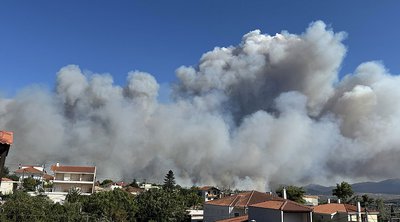 Φωτιά στην Αττική: O καπνός έχει διανύσει 300 χιλιόμετρα - Εικόνα από δορυφόρο