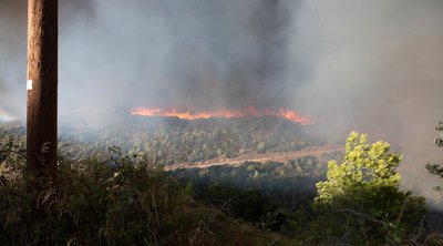 Φωτιά στη Βορειοανατολική Αττική: Έκκληση της ΕΛΑΣ στους πολίτες να μην κινούνται προς τις πυρόπληκτες περιοχές