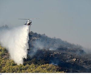 Ανεξέλεγκτη η φωτιά στη ΒΑ Αττική: Σε Γραμματικό και Καλλιτεχνούπολη τα κυριότερα μέτωπα 