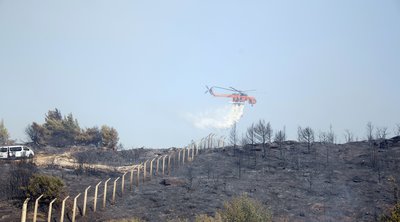 Φωτιά στην Αττική: Σε «κόκκινο συναγερμό» ο μηχανισμός της Περιφέρειας - Άνοιξε το ΟΑΚΑ για τους κατοίκους