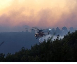 Πύρινος εφιάλτης στη ΒΑ Αττική: Σε Γραμματικό και Καλλιτεχνούπολη τα κυριότερα μέτωπα 