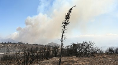 Φωτιά στην Αττική: Πρόταση Φιντάν να βοηθήσει η Τουρκία στην αντιμετώπιση της πυρκαγιάς