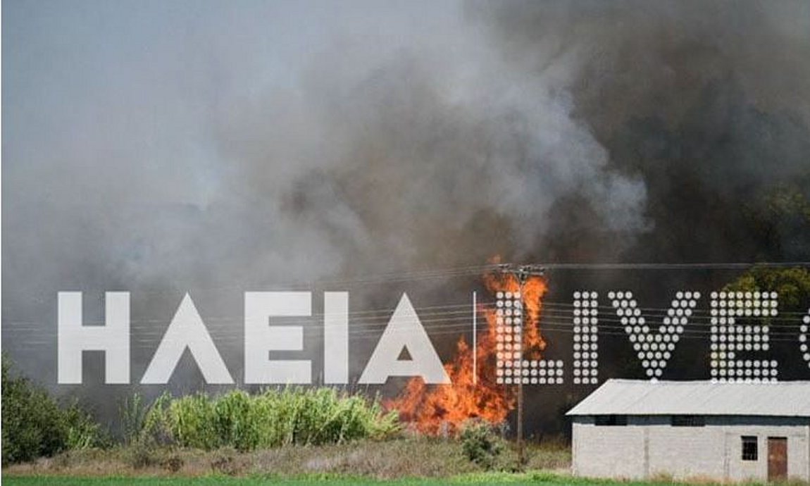 Φωτιά στον Πύργο: Απειλείται το 1ο ΕΠΑΛ – ΒΙΝΤΕΟ