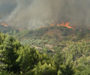 Φωτιά στην Αττική:  Πότε θα εξασθενίσουν οι άνεμοι - Η ανάρτηση Κολυδά