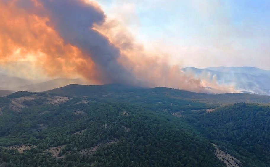 Έναρξη της δεύτερης φάσης των ειδικών σχημάτων ενίσχυσης για τις πληγείσες περιοχές Θεσσαλίας και Έβρου