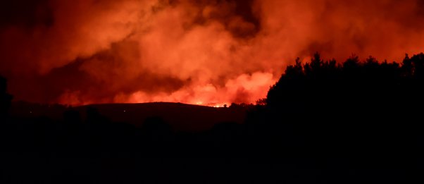 Φωτιά στην Αττική: Οι τέσσερις λόγοι που επεκτάθηκε τόσο γρήγορα 