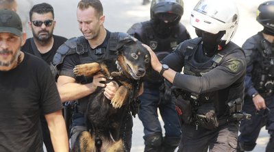 Φωτιά στην Αττική: Πού βρίσκονται τα ζώα συντροφιάς που απομακρύνθηκαν από τις φλόγες