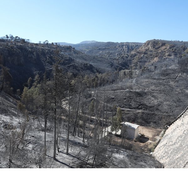 ΥΠΠΟ: Η φωτιά στην Αττική δεν προκάλεσε βλάβες στο Μουσείο και τους αρχαιολογικούς χώρους του Μαραθώνα 