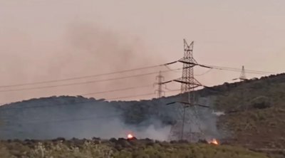 Φωτιά σε δασική έκταση στο Ελαιοχώρι Θορικού