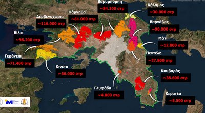 Meteo: Το 37% των δασών της Αττικής κάηκε τα τελευταία οκτώ χρόνια
