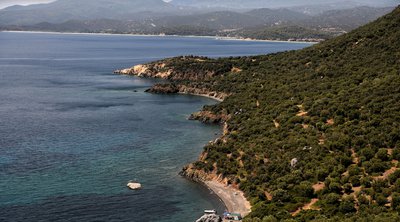 Χαλκιδική: Πολύ υψηλός κίνδυνος εκδήλωσης πυρκαγιάς - Παρατείνεται η απαγόρευση κυκλοφορίας σε αρκετές περιοχές 