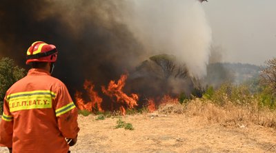 Βαρνάβας: Πώς εκδηλώθηκε η πρώτη εστία της καταστροφικής πυρκαγιάς 