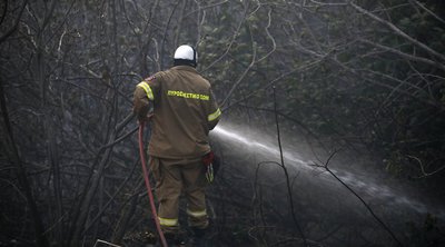 Πυροσβεστική: 34 πυρκαγιές το τελευταίο 24ωρο - Συνελήφθη γυναίκα για εμπρησμό στη Φωκίδα