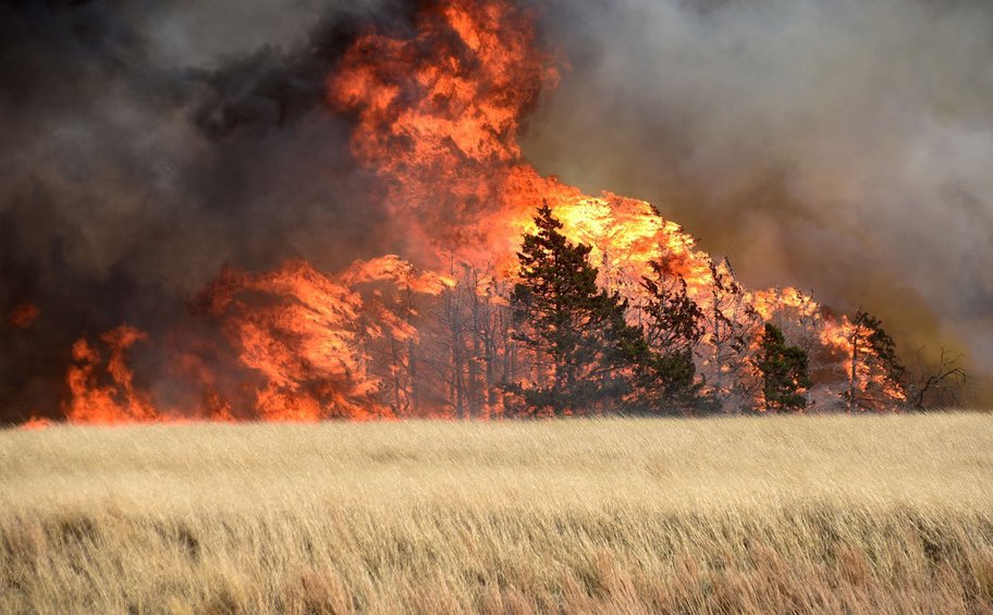 Megafires: Προκάλεσαν πελώριες εκλύσεις CO2 το 2023