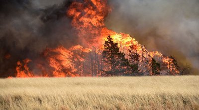 Megafires: Προκάλεσαν πελώριες εκλύσεις CO2 το 2023