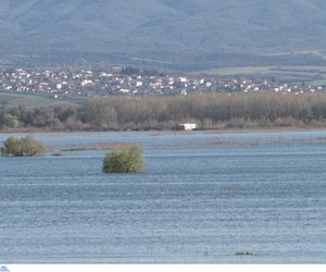 Τραγωδία στον ποταμό Στρυμόνα: Ψαράς πέθανε μπροστά στα μάτια της γυναίκας του 