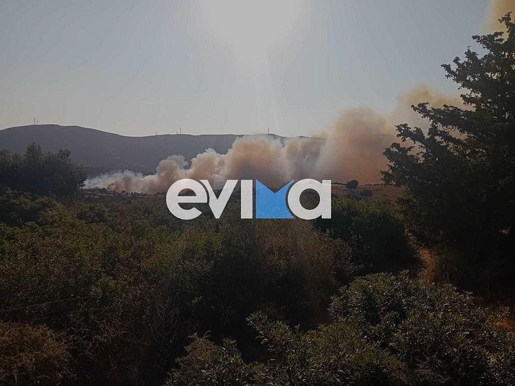 Φωτιά στους Τσακαίους Ευβοίας – ΦΩΤΟ & ΒΙΝΤΕΟ