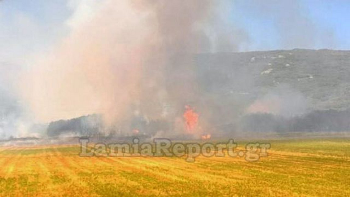 Λαμία: Αποτράπηκε πυρκαγιά στην Παναγιά Δομοκού – Τραυματίστηκε ελαφρά ένας πυροσβέστης