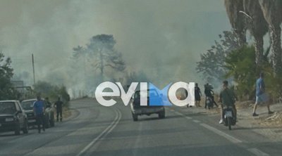 Ερέτρια: Φωτιά κοντά σε ξενοδοχείο – Τέθηκε γρήγορα υπό έλεγχο 