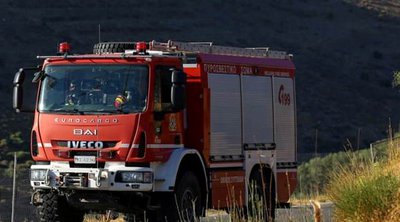 Πυρκαγιά σε δασική έκταση στο Άγιον Όρος