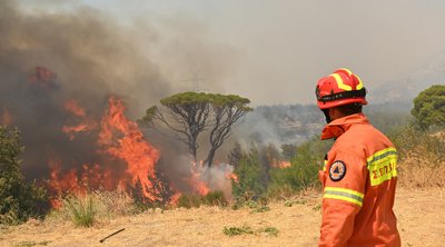 Πυροσβεστική: 43 αγροτοδασικές πυρκαγιές το τελευταίο 24ωρο σε όλη τη χώρα 