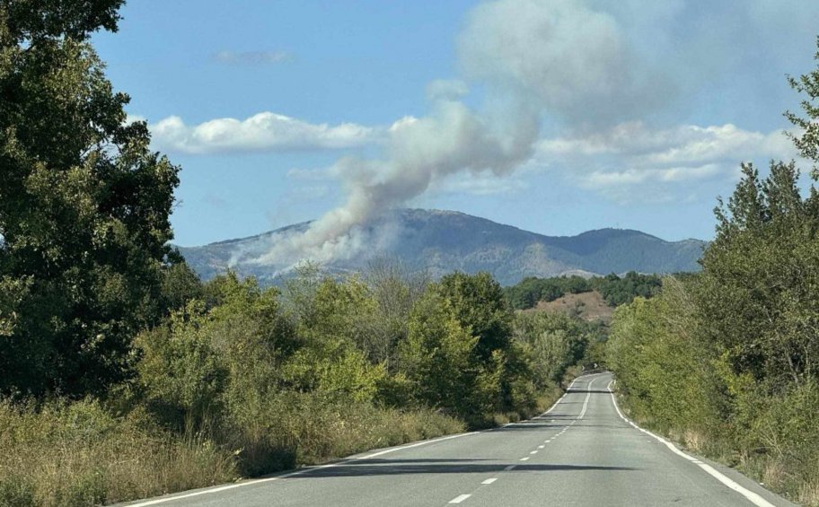 Κοζάνη: Φωτιά στην περιοχή Βλάστη 