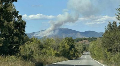 Κοζάνη: Φωτιά στην περιοχή Βλάστη 