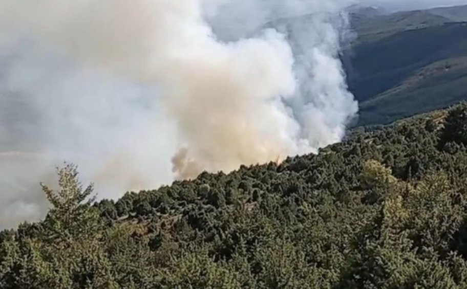 Κοζάνη: Υπό μερικό έλεγχο η φωτιά στη Βλάστη 