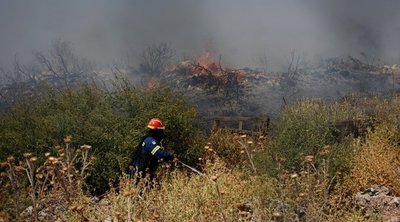 Φωτιά στους Αγίους Θεοδώρους Μαγνησίας - Επιχειρούν 6 εναέρια μέσα