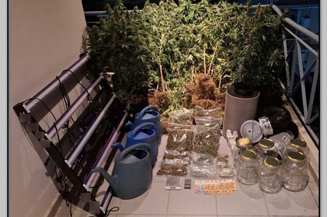 Τρίκαλα: Τρία άτομα συνελήφθησαν για καλλιέργεια, εμπορία και διακίνηση ναρκωτικών