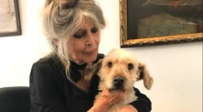 Brigitte Bardot: Συντετριμμένη μετά τον θάνατο του σκύλου της – «Είναι βαθιά η πληγή»