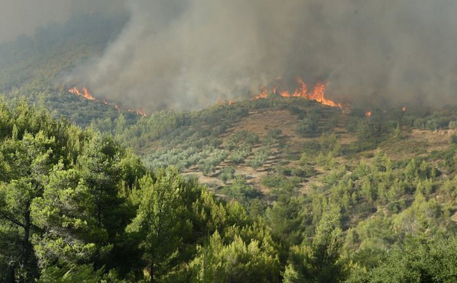 Φωτιά στην Αττική: Ανακοίνωση σχετικά με τις αιτήσεις πληγεισών επιχειρήσεων